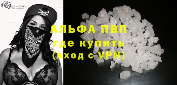 прущие грибы Пересвет