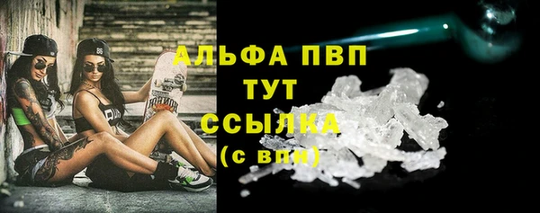 прущие грибы Пересвет