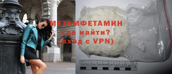 прущие грибы Пересвет