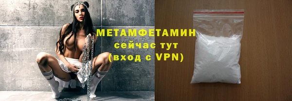 прущие грибы Пересвет