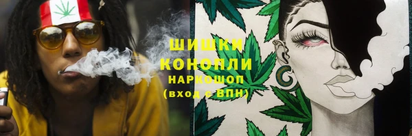 прущие грибы Пересвет