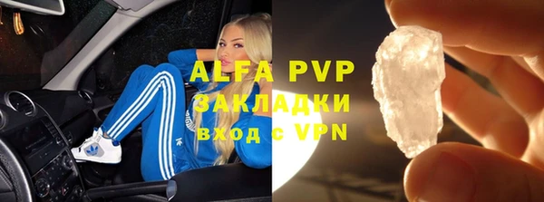 прущие грибы Пересвет