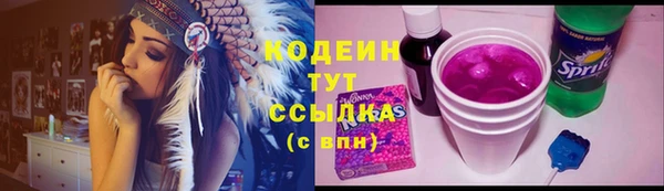 крисы Переславль-Залесский