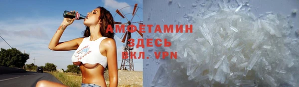 прущие грибы Пересвет