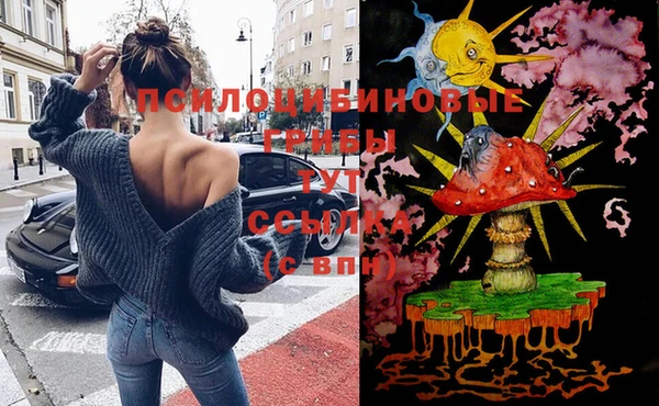 а пвп мука Пестово