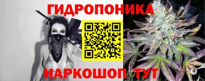 гашик Ипатово