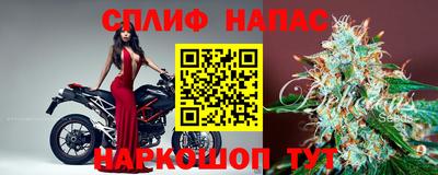 гашик Ипатово
