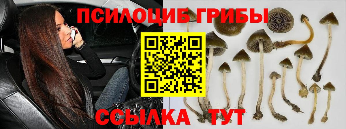 Псилоцибиновые грибы ЛСД Сатка