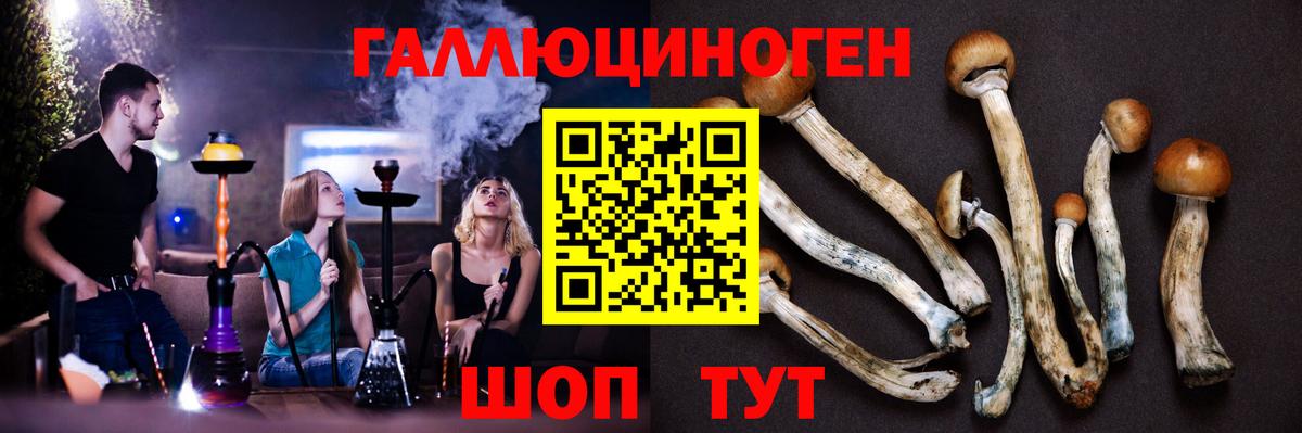 Сатка  Псилоцибиновые грибы GOLDEN TEACHER  Вход с VPN 